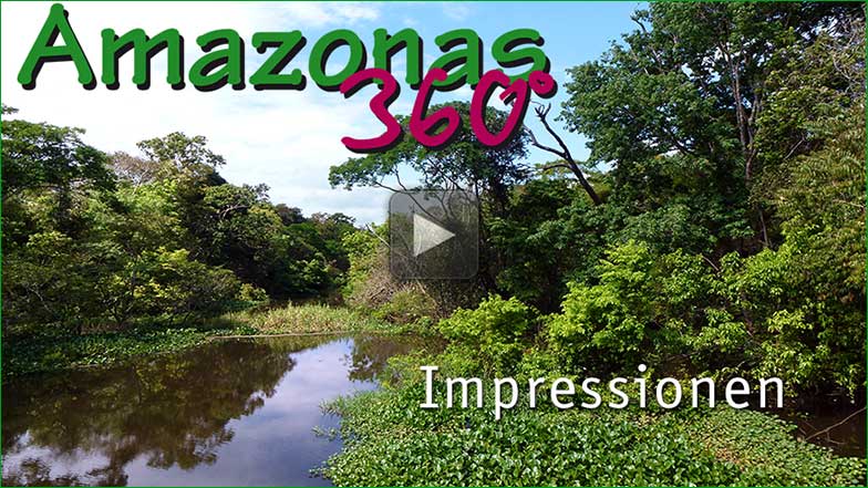 Amazonas 360º Impressionen