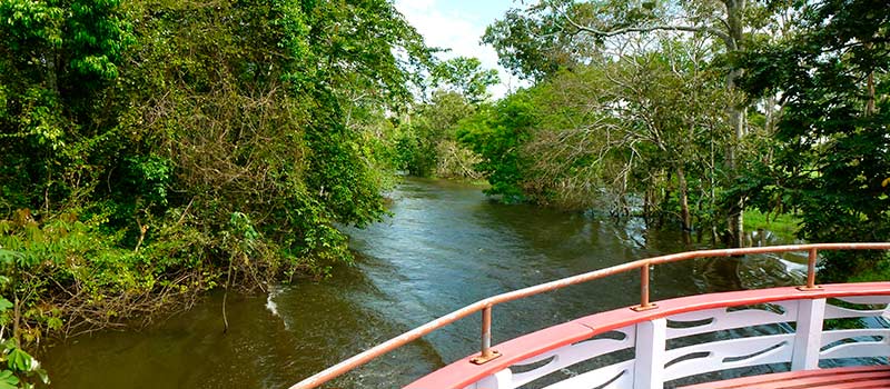Den Amazonas-Urwald hautnah erleben